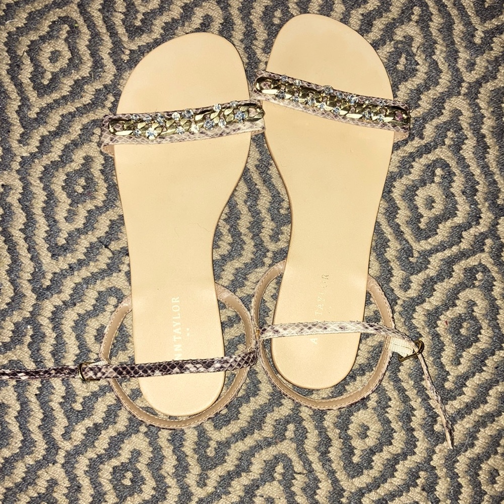 Ann Taylor flats